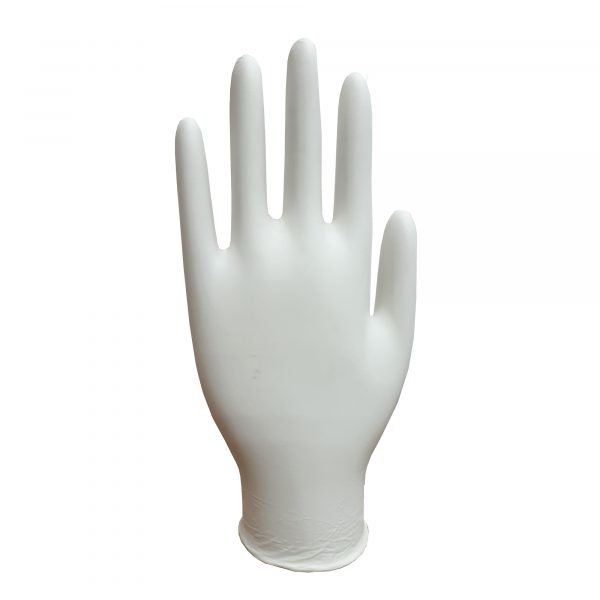 Vinyl Disposable Latex-Free Gloves